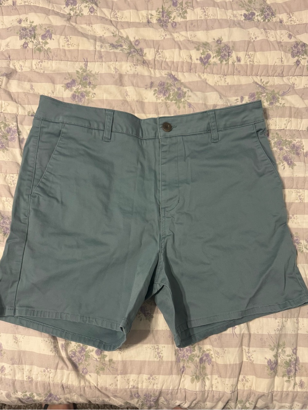 RSQ Men's Light Teal Flat Front Shorts